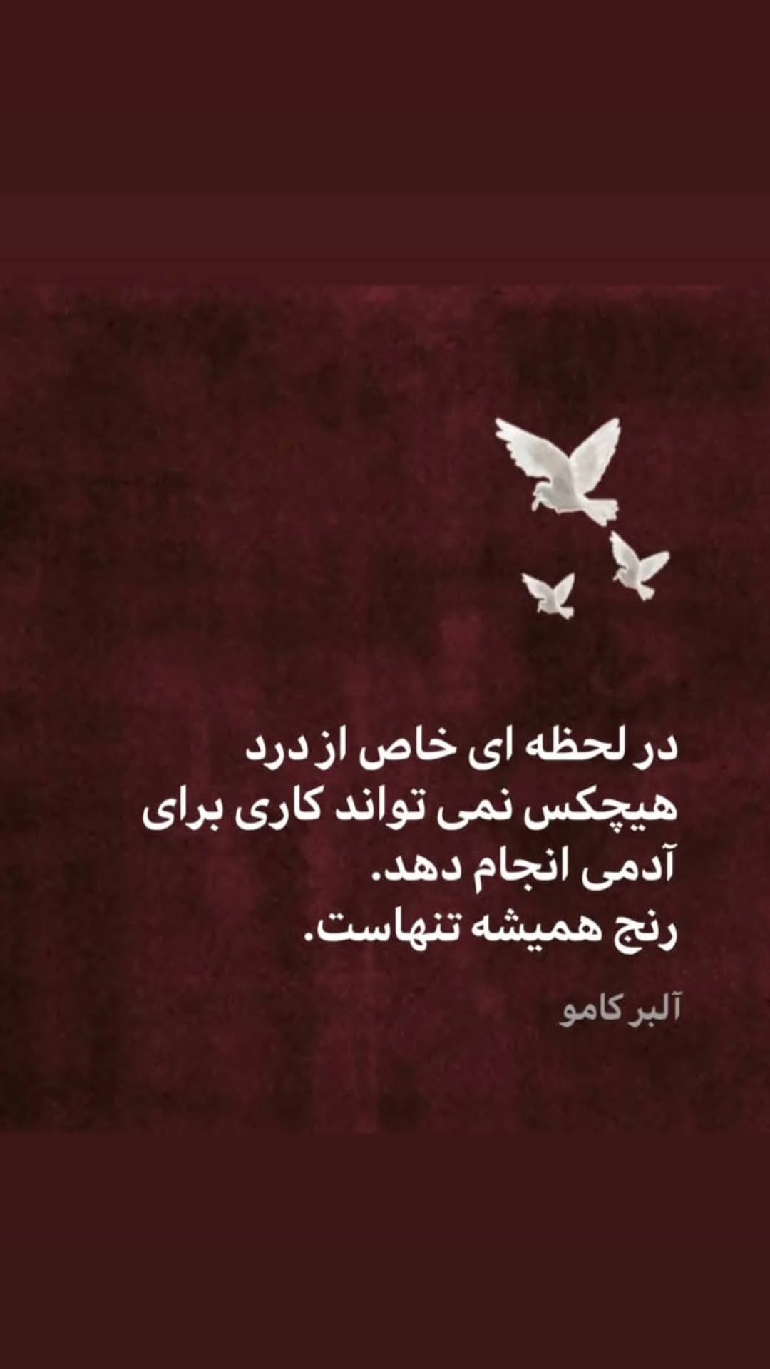  جدید ترین استوری اینستاگرام مریم وطن پور