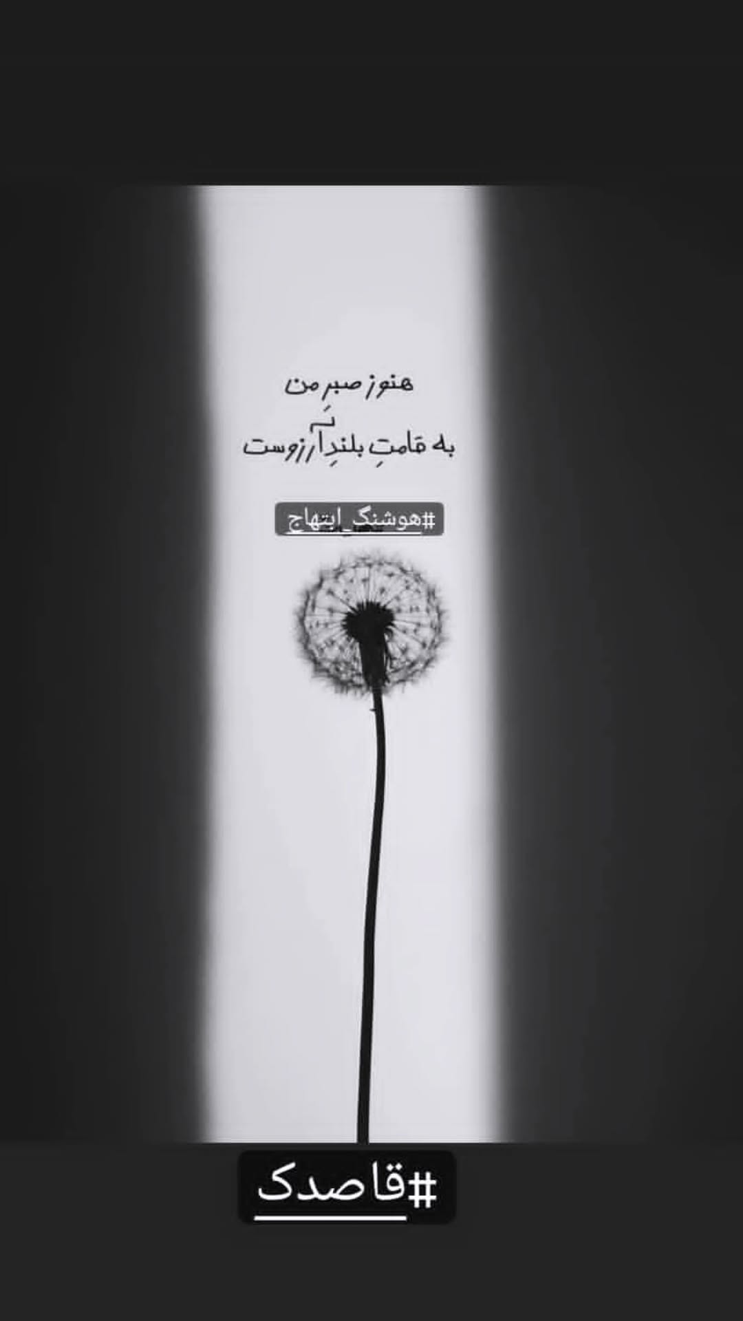  جدید ترین استوری اینستاگرام مریم وطن پور