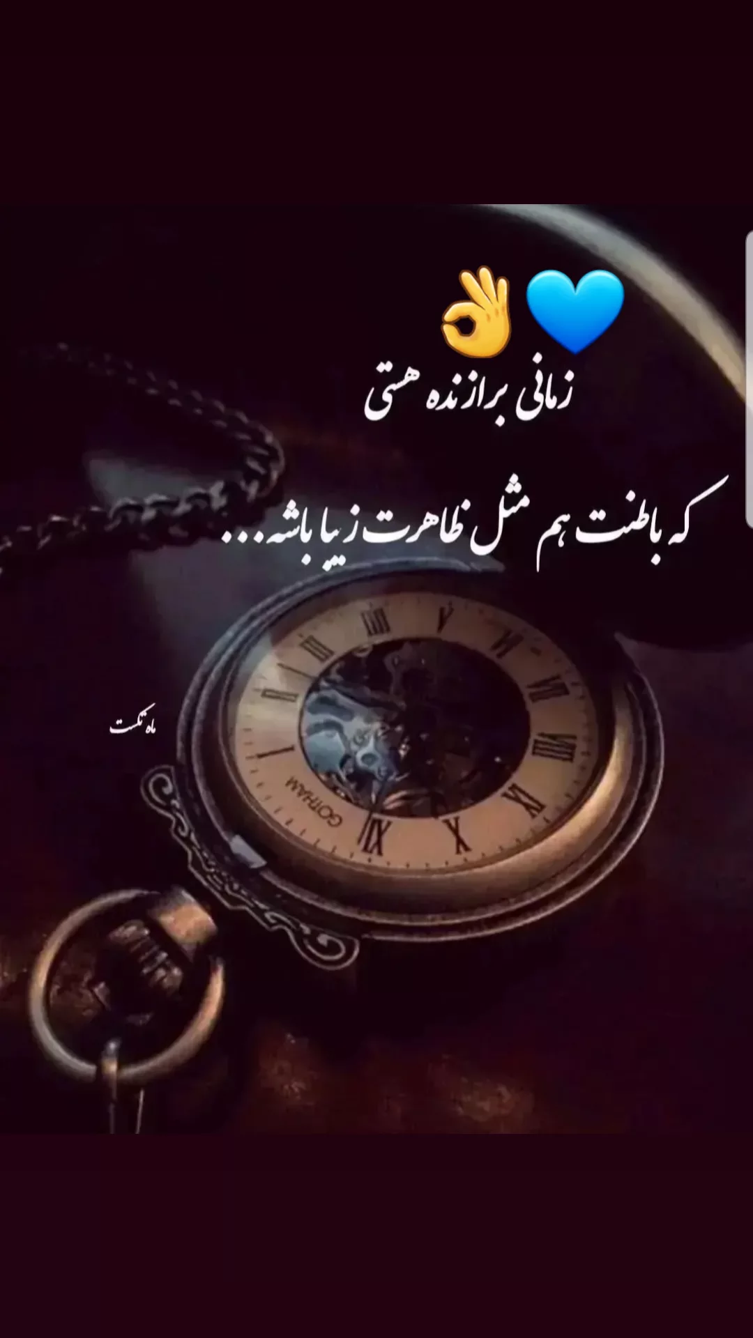  جدید ترین استوری اینستاگرام مریم امیرجلالی