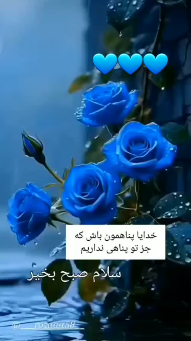  جدید ترین استوری اینستاگرام مریم امیرجلالی