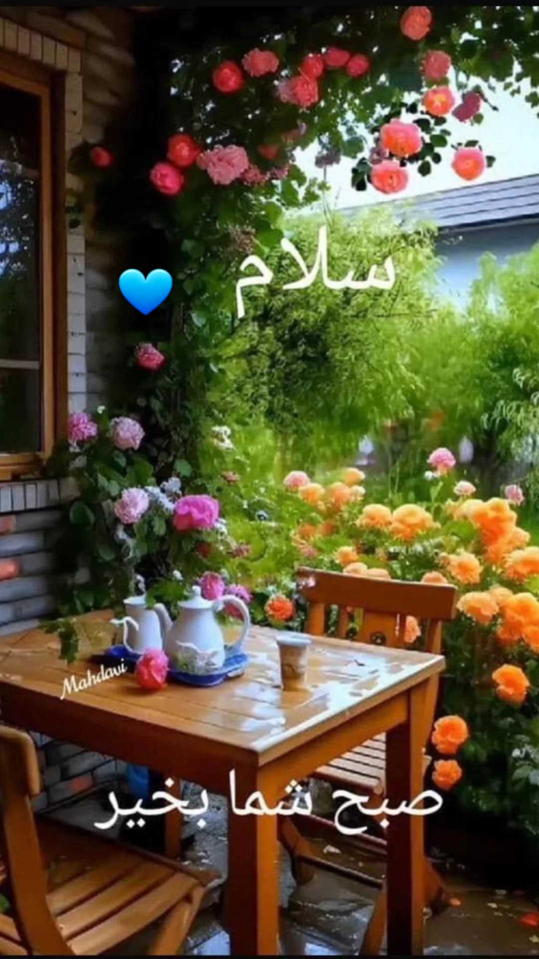  جدید ترین استوری اینستاگرام مریم امیرجلالی