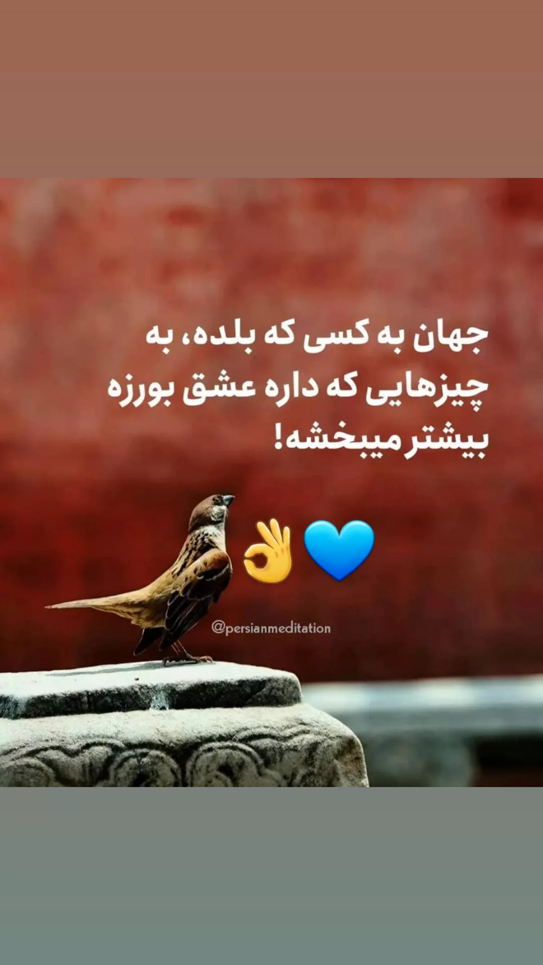  جدید ترین استوری اینستاگرام مریم امیرجلالی