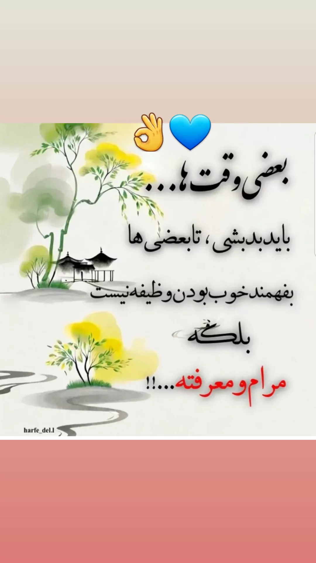  جدید ترین استوری اینستاگرام مریم امیرجلالی