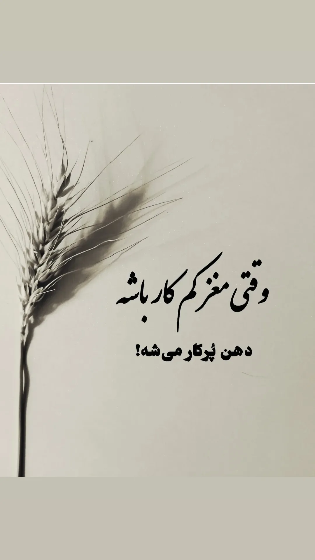  جدید ترین استوری اینستاگرام مریم امیرجلالی