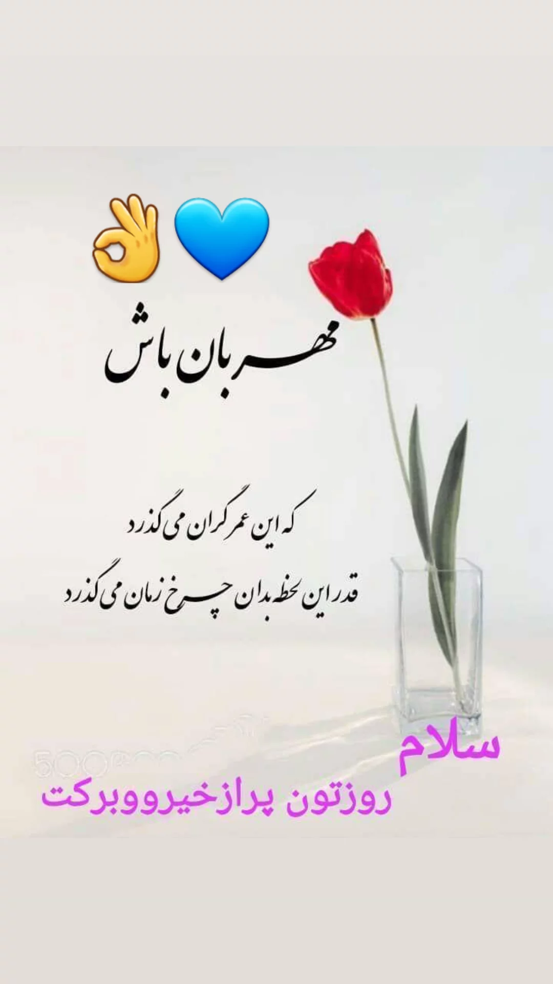  جدید ترین استوری اینستاگرام مریم امیرجلالی
