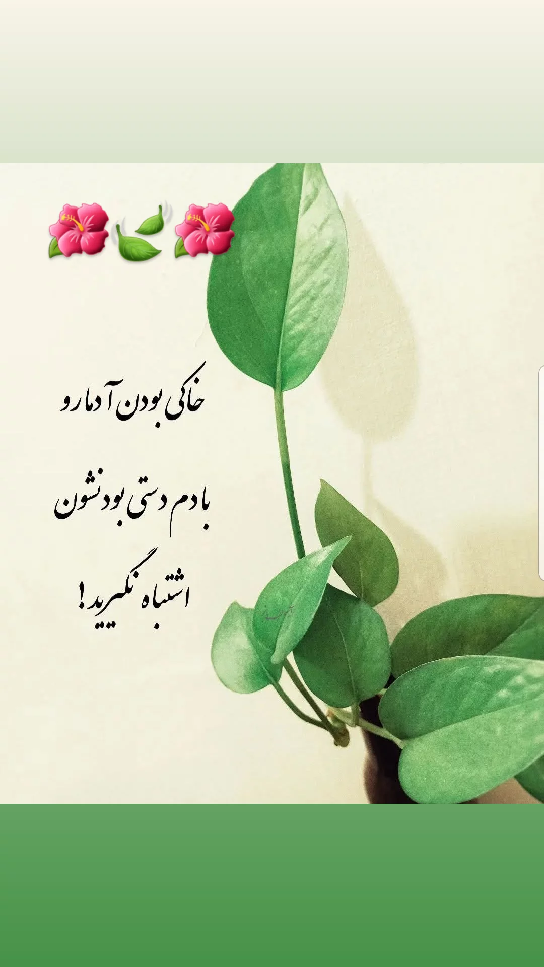  جدید ترین استوری اینستاگرام مریم امیرجلالی