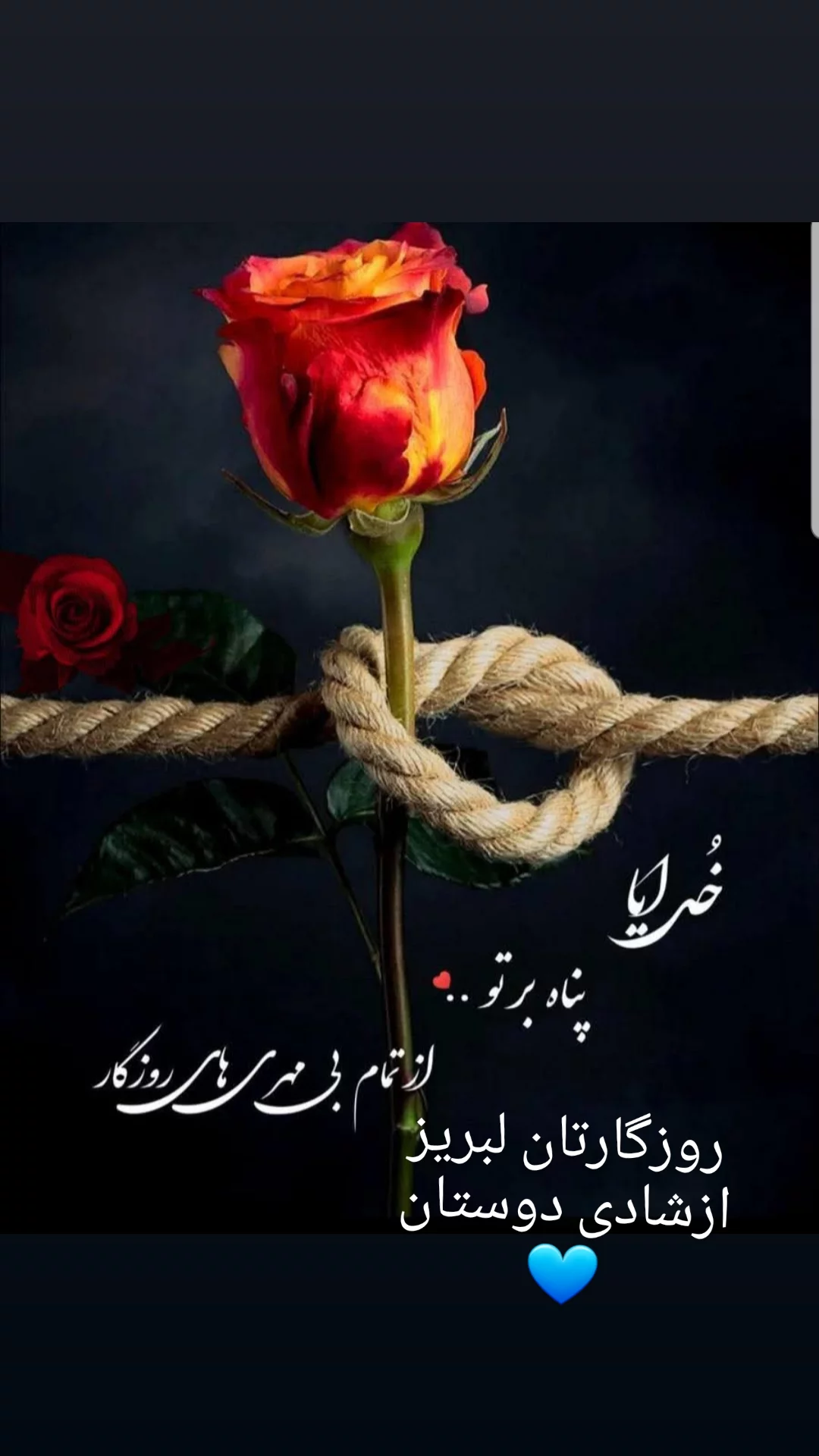  جدید ترین استوری اینستاگرام مریم امیرجلالی