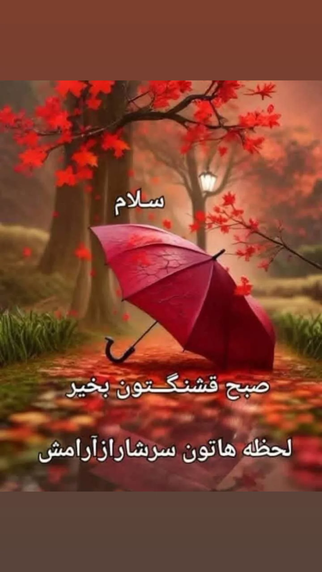 جدید ترین استوری اینستاگرام مریم امیرجلالی