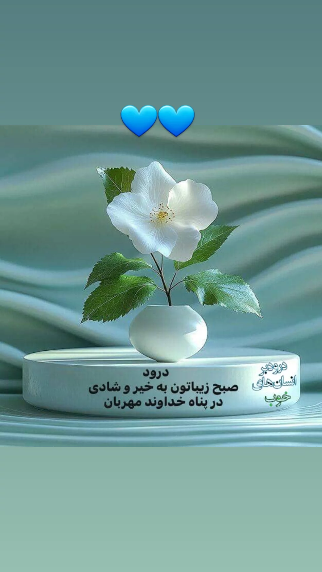  جدید ترین استوری اینستاگرام مریم امیرجلالی