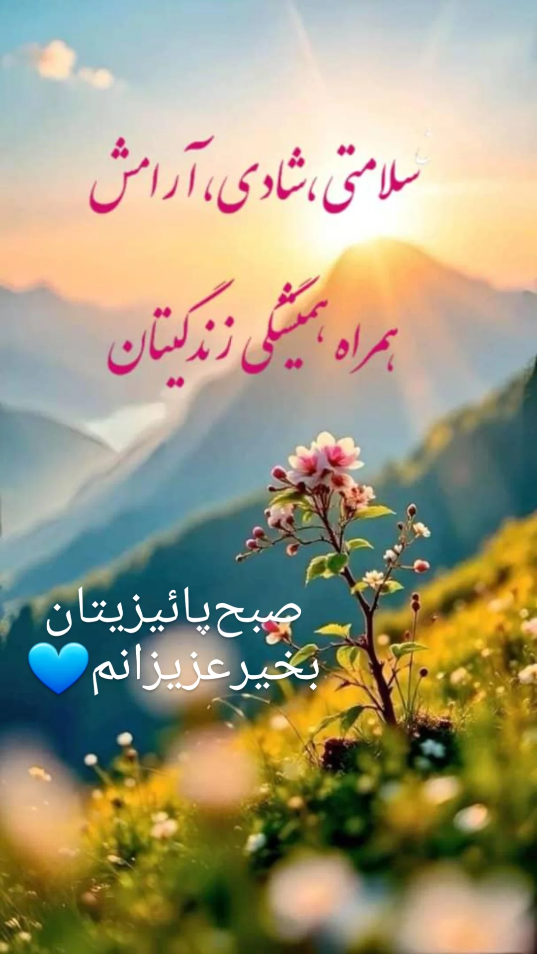  جدید ترین استوری اینستاگرام مریم امیرجلالی