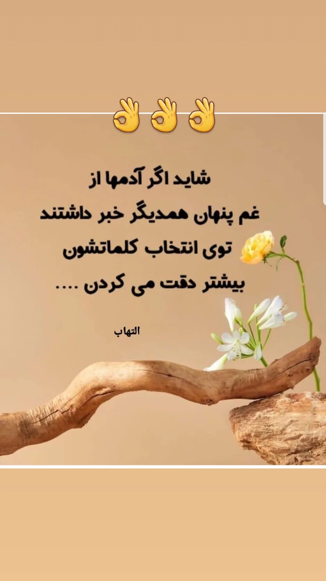  جدید ترین استوری اینستاگرام مریم امیرجلالی