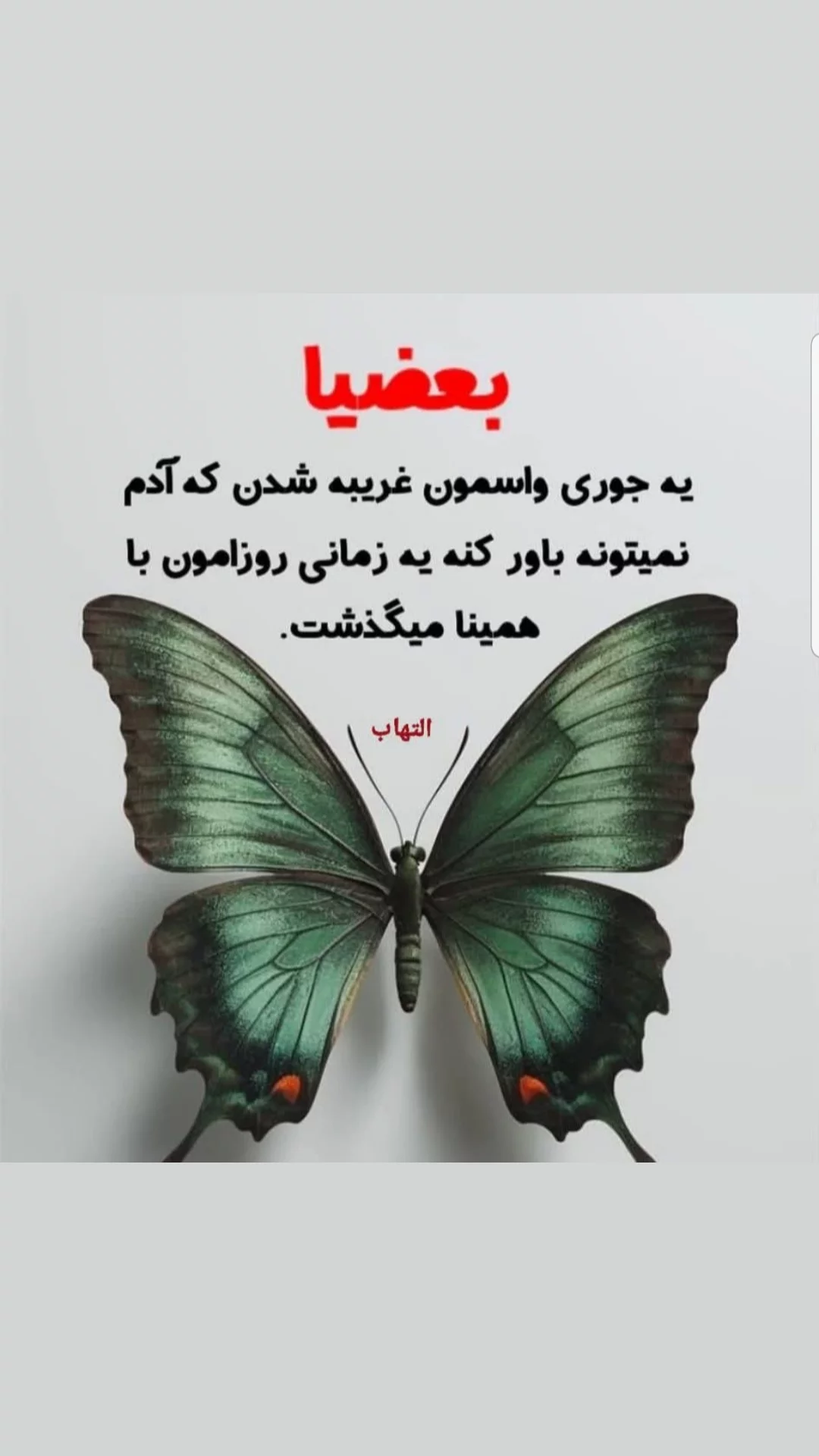  جدید ترین استوری اینستاگرام مریم امیرجلالی