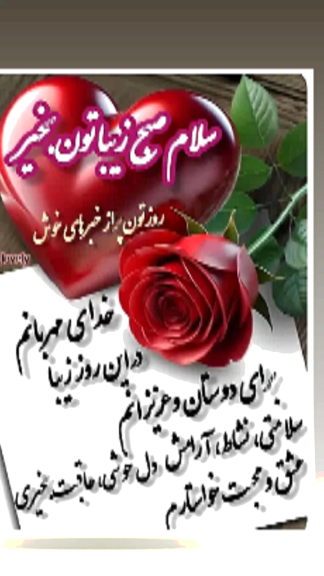  جدید ترین استوری اینستاگرام مریم امیرجلالی