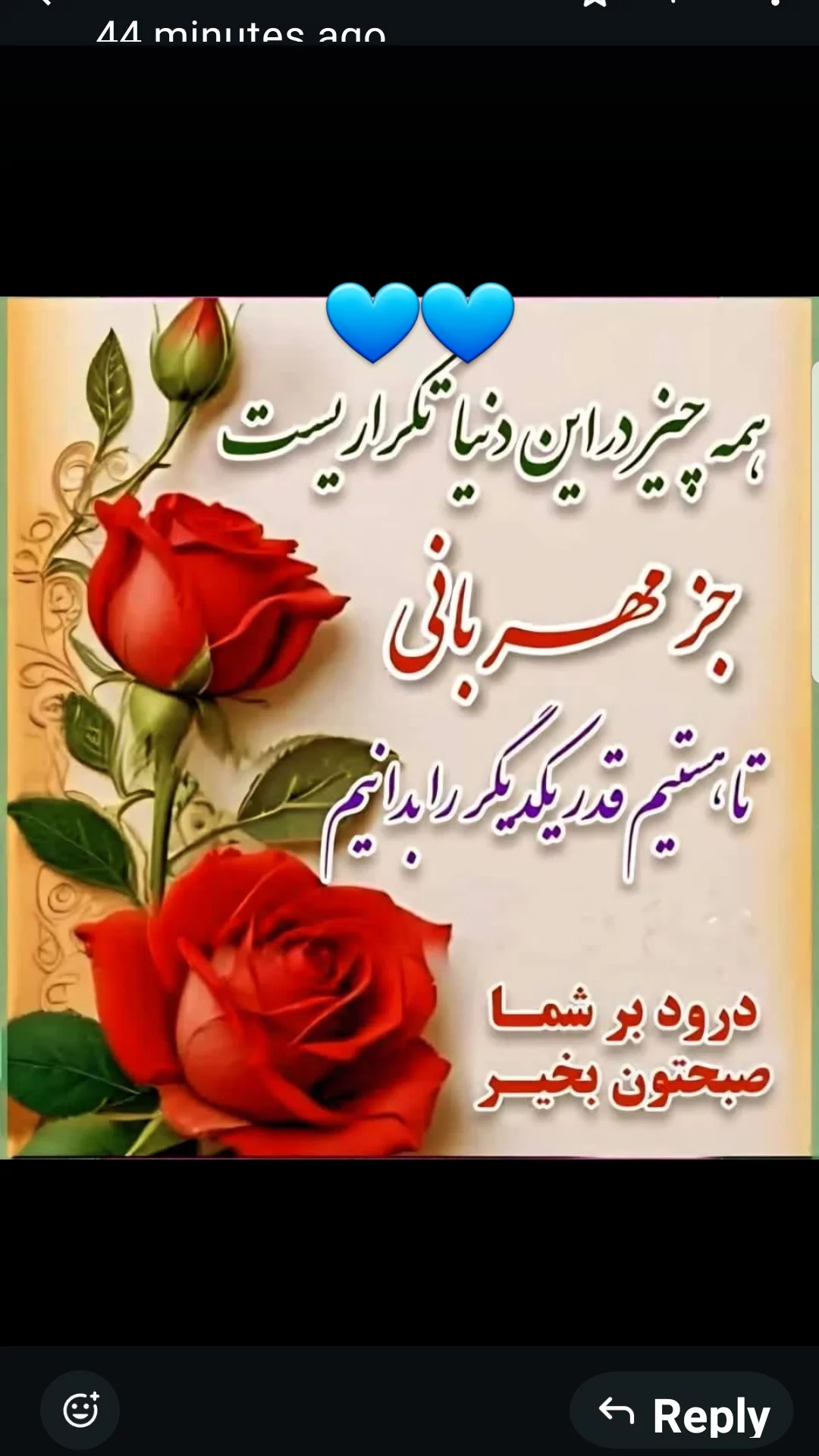  جدید ترین استوری اینستاگرام مریم امیرجلالی