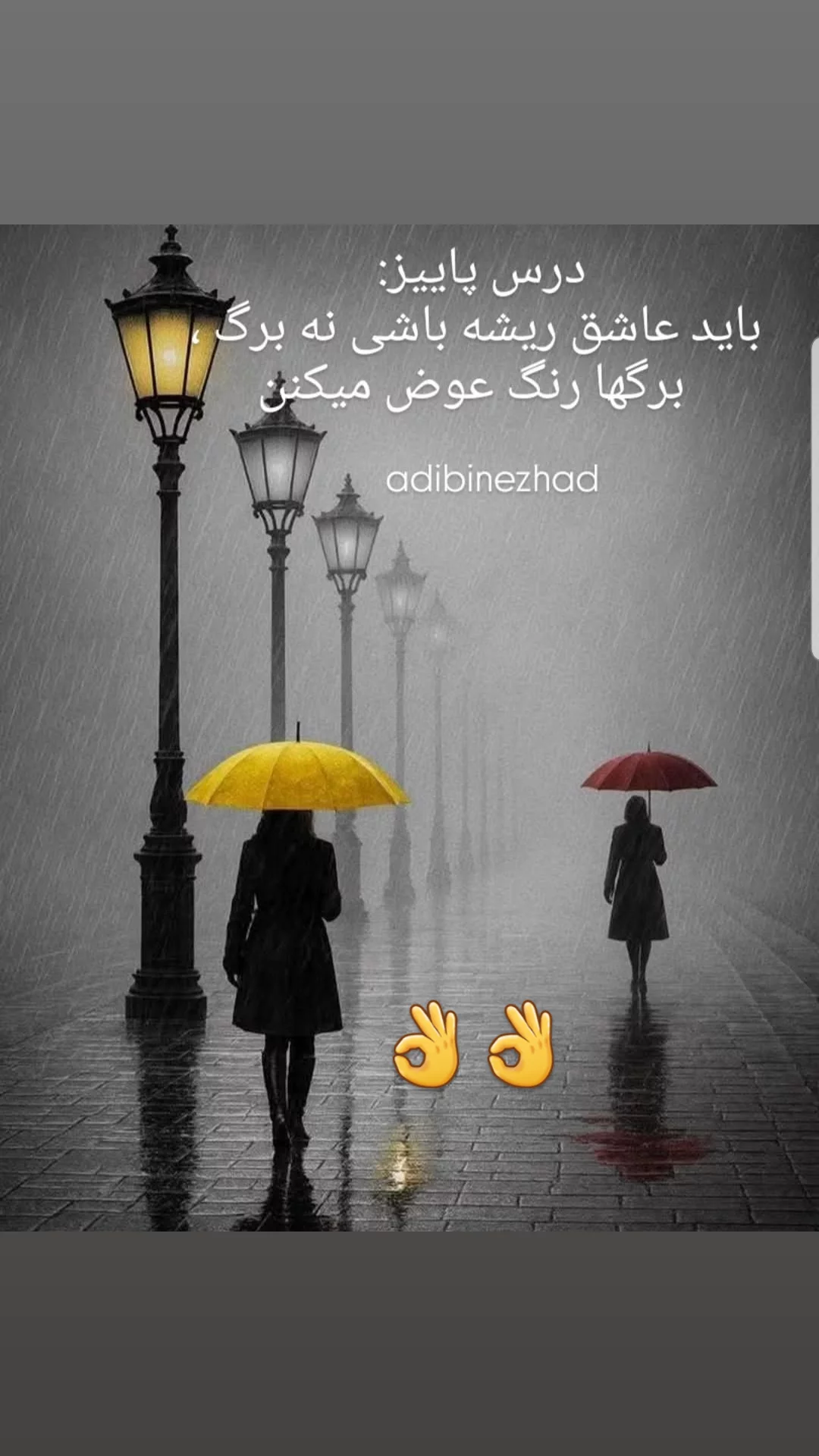  جدید ترین استوری اینستاگرام مریم امیرجلالی
