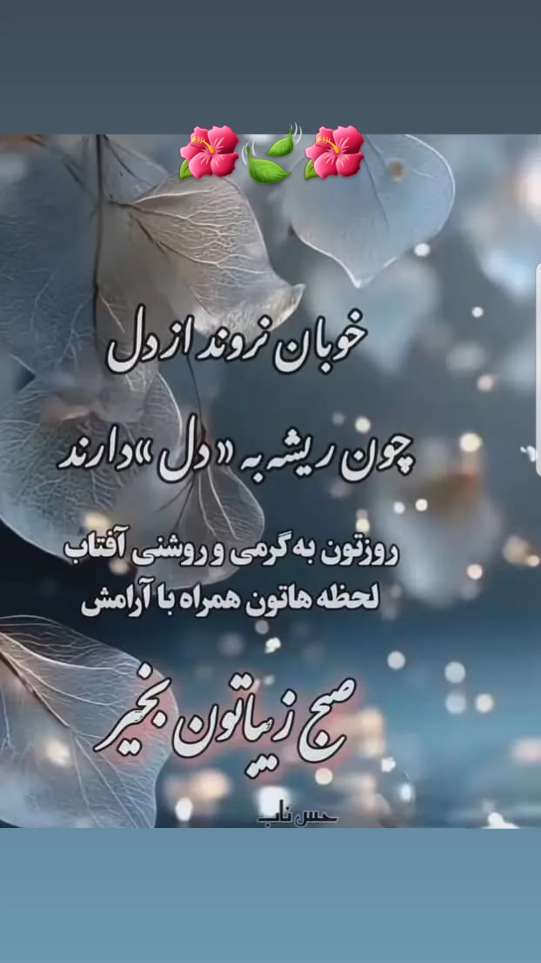  جدید ترین استوری اینستاگرام مریم امیرجلالی