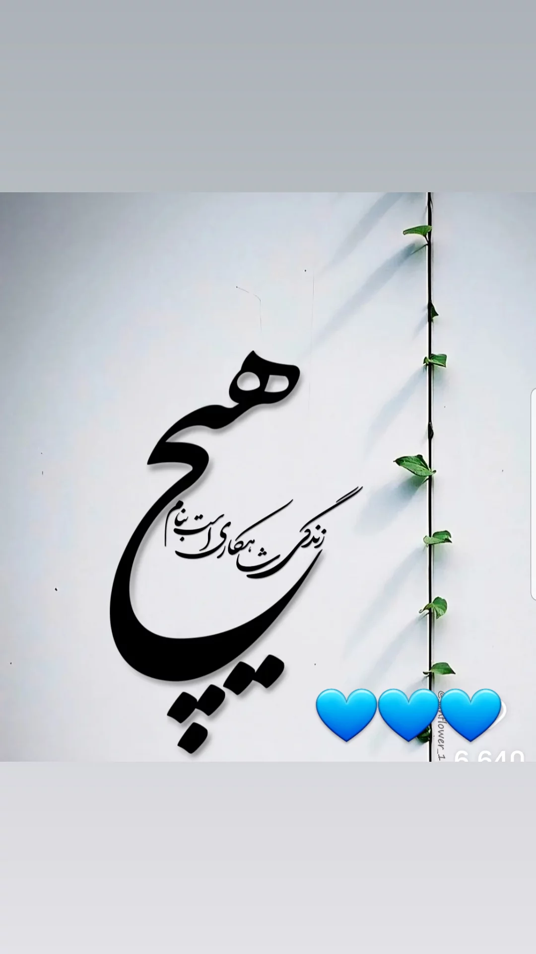  جدید ترین استوری اینستاگرام مریم امیرجلالی