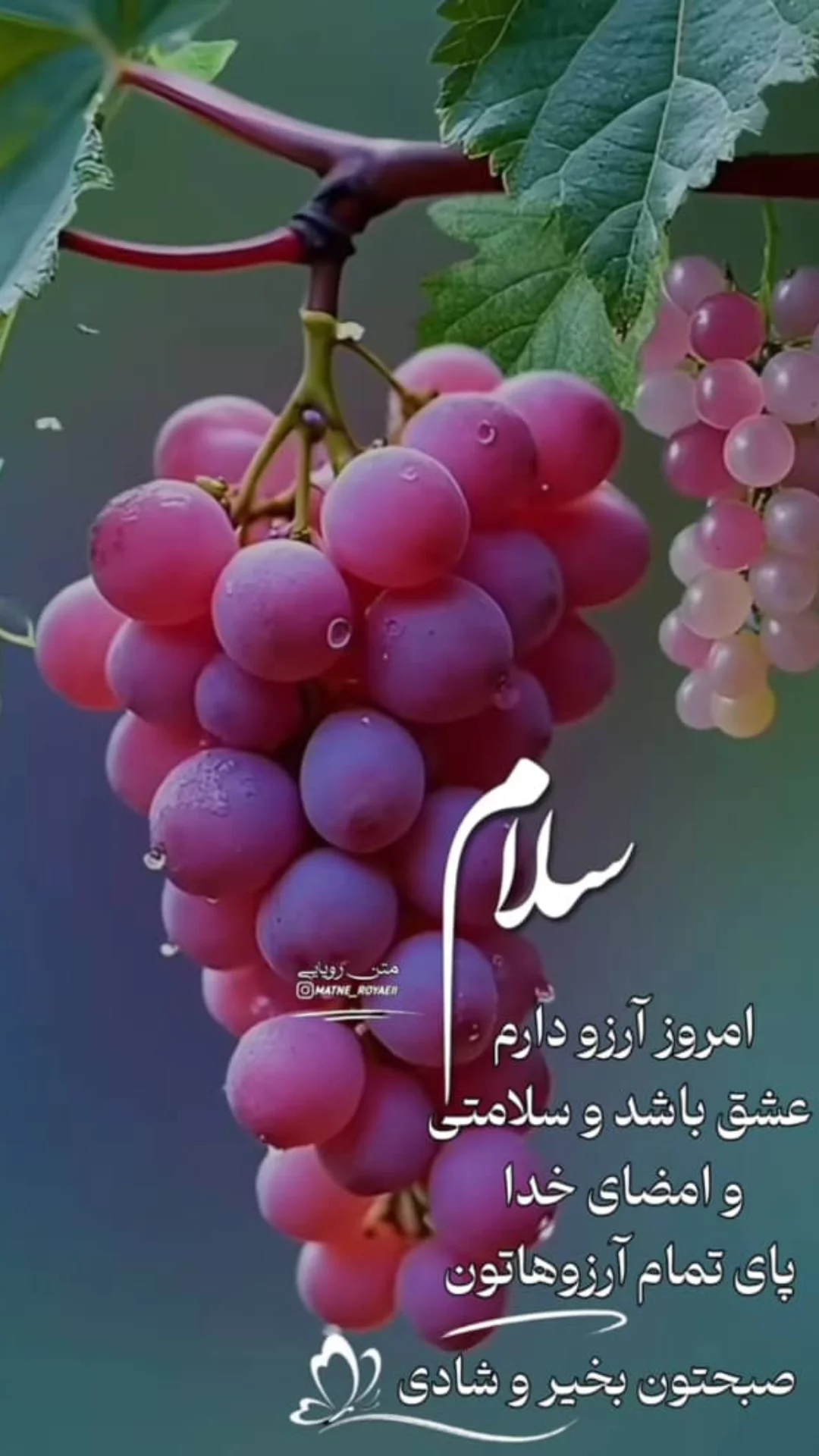  جدید ترین استوری اینستاگرام مریم امیرجلالی