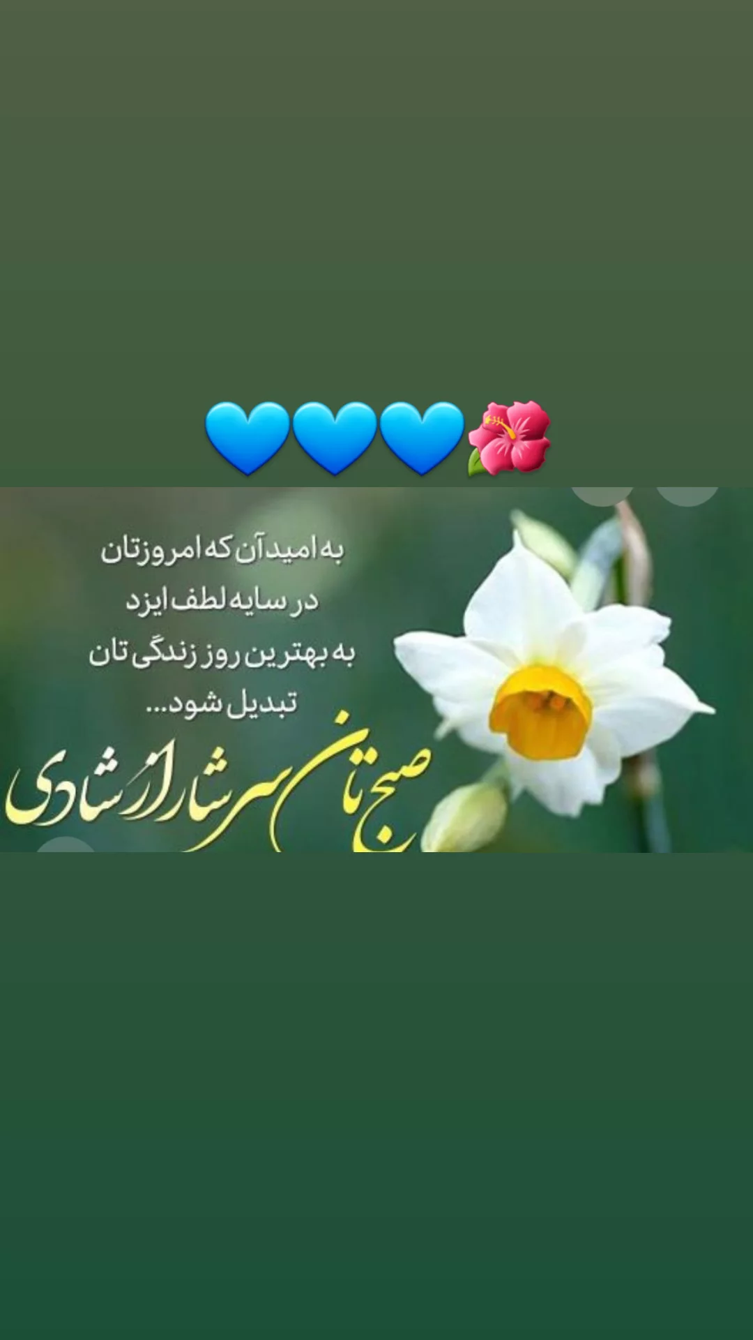  جدید ترین استوری اینستاگرام مریم امیرجلالی