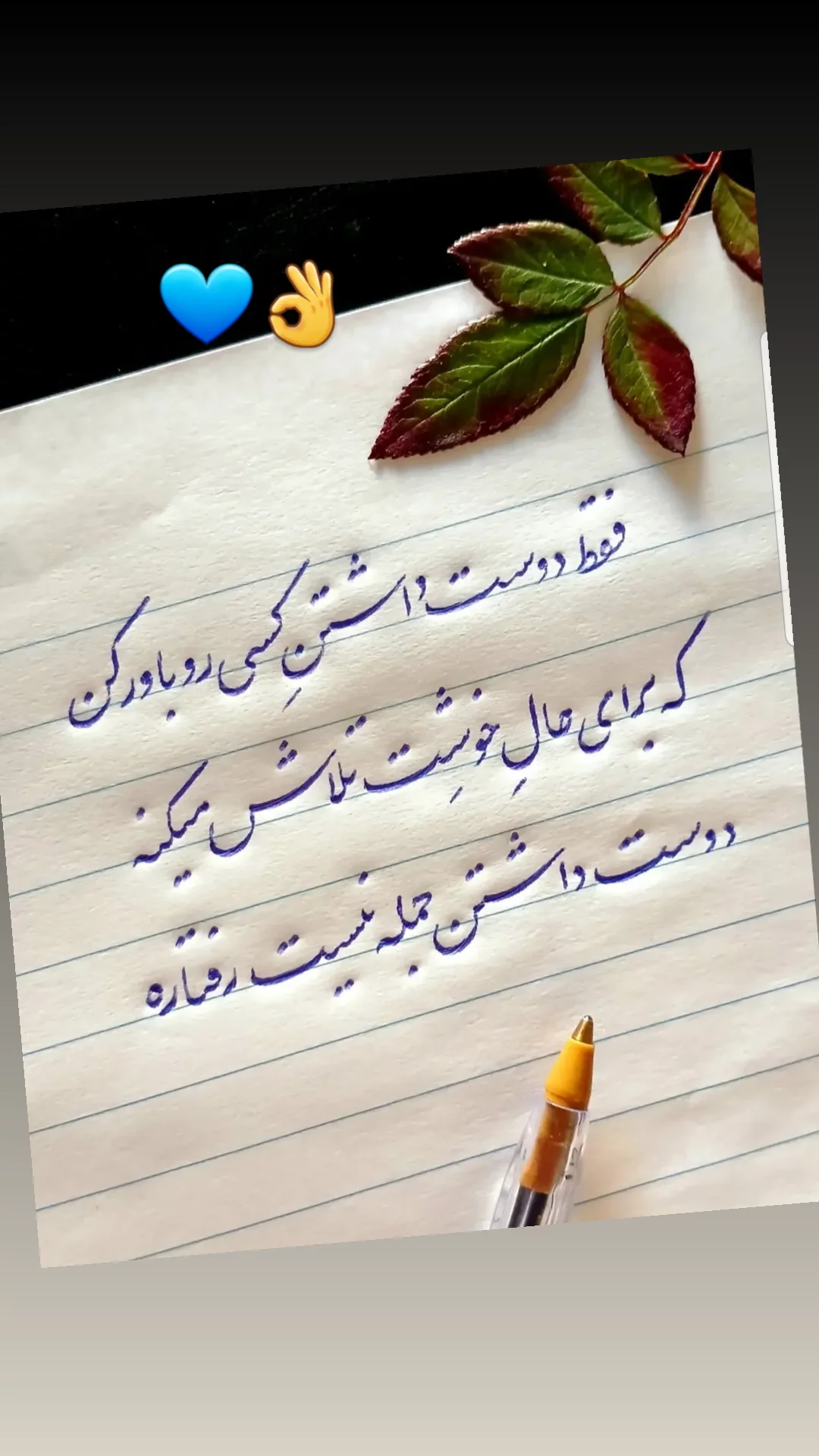  جدید ترین استوری اینستاگرام مریم امیرجلالی