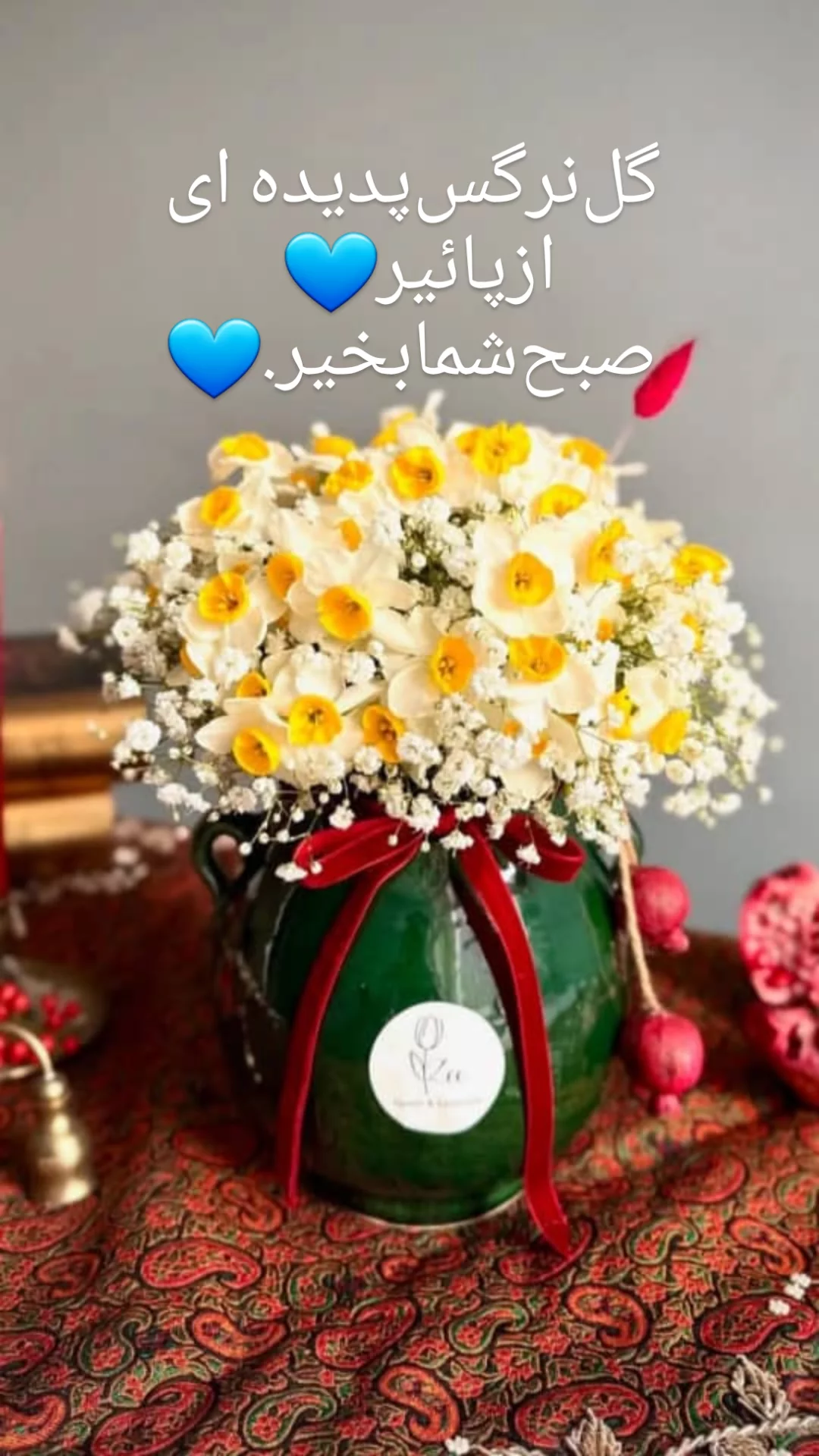  جدید ترین استوری اینستاگرام مریم امیرجلالی