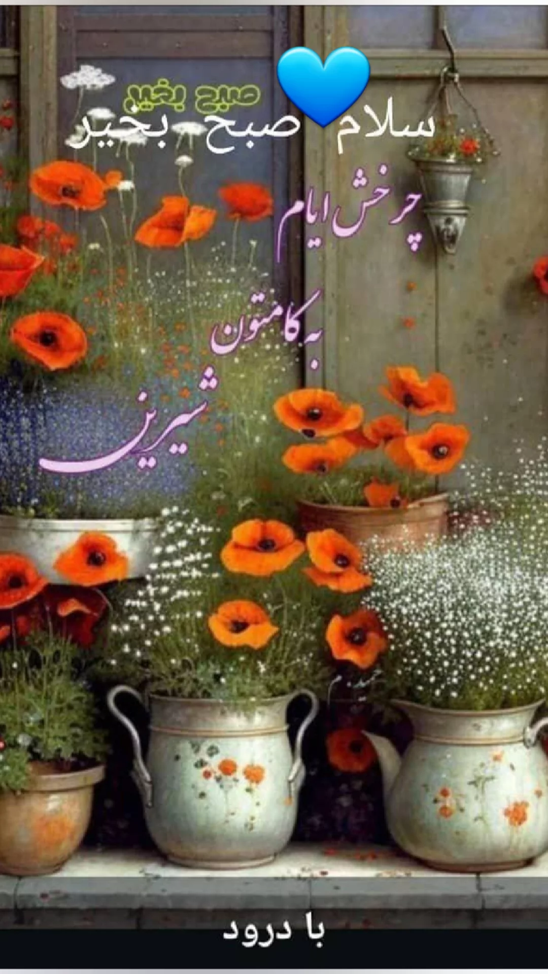  جدید ترین استوری اینستاگرام مریم امیرجلالی