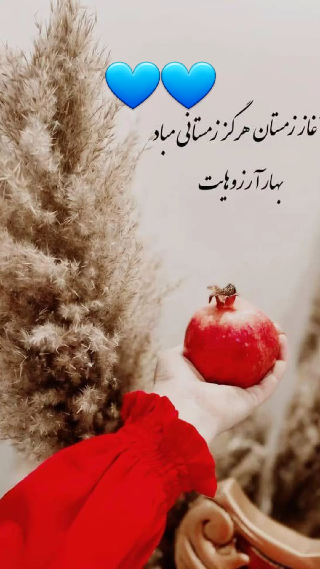 جدید ترین استوری اینستاگرام مریم امیرجلالی