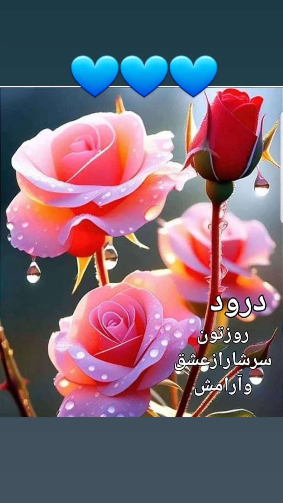  جدید ترین استوری اینستاگرام مریم امیرجلالی