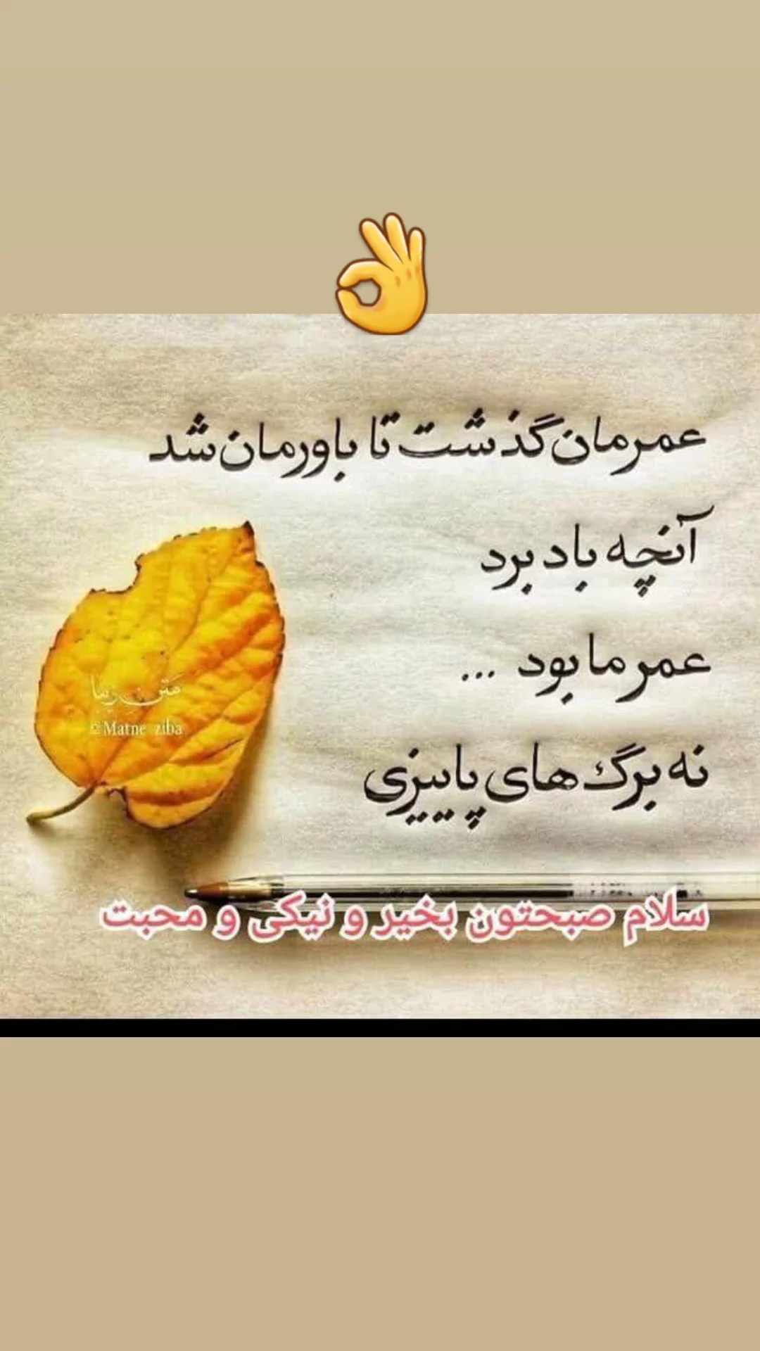  جدید ترین استوری اینستاگرام مریم امیرجلالی
