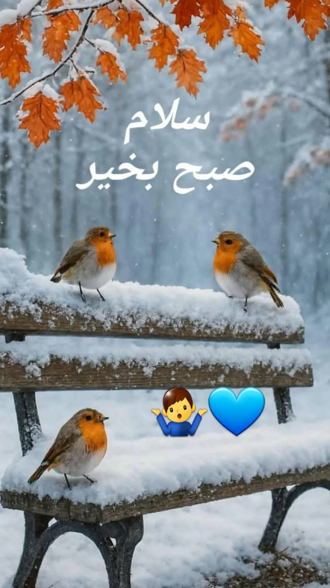  جدید ترین استوری اینستاگرام مریم امیرجلالی