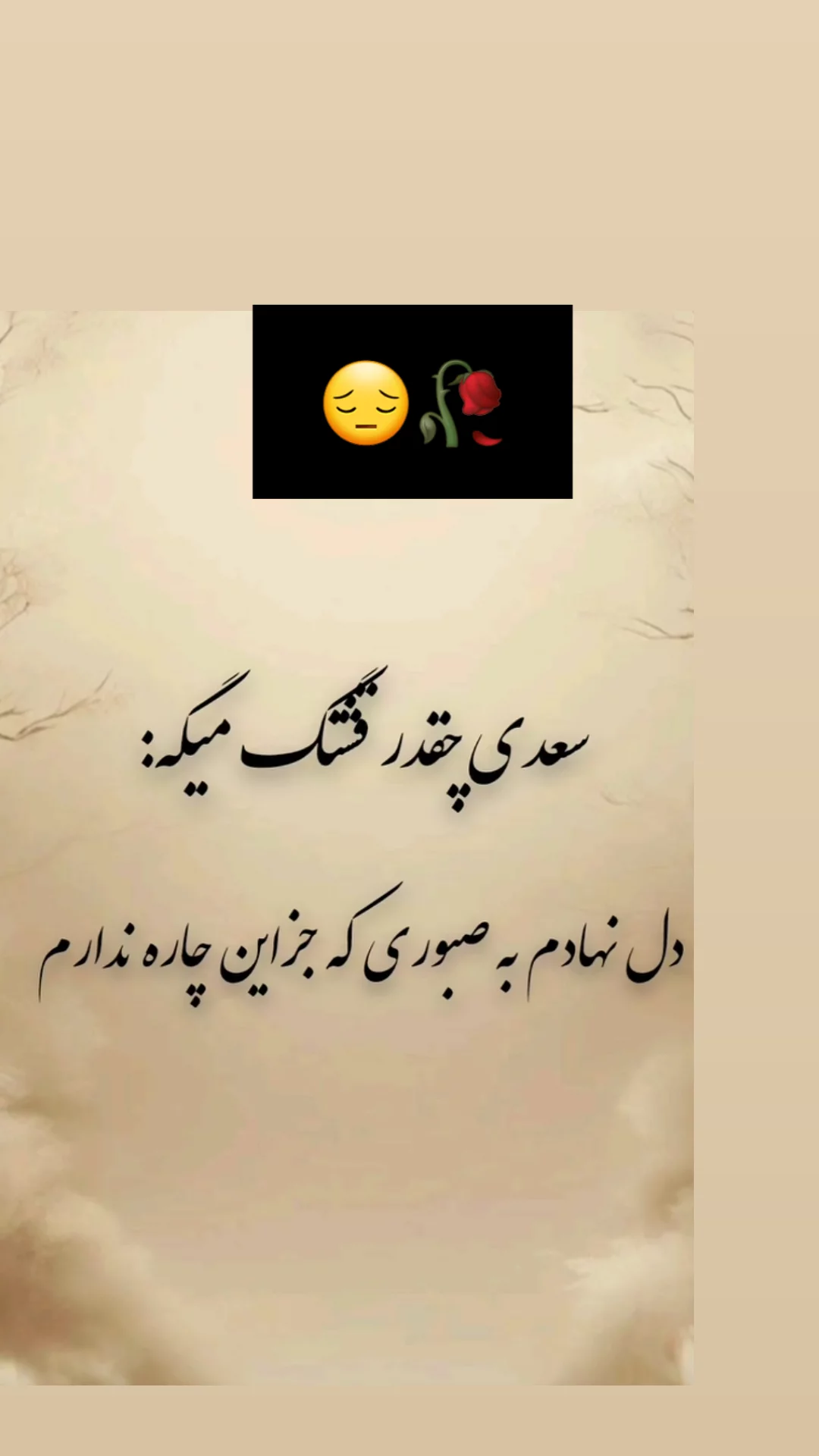  جدید ترین استوری اینستاگرام مریم امیرجلالی