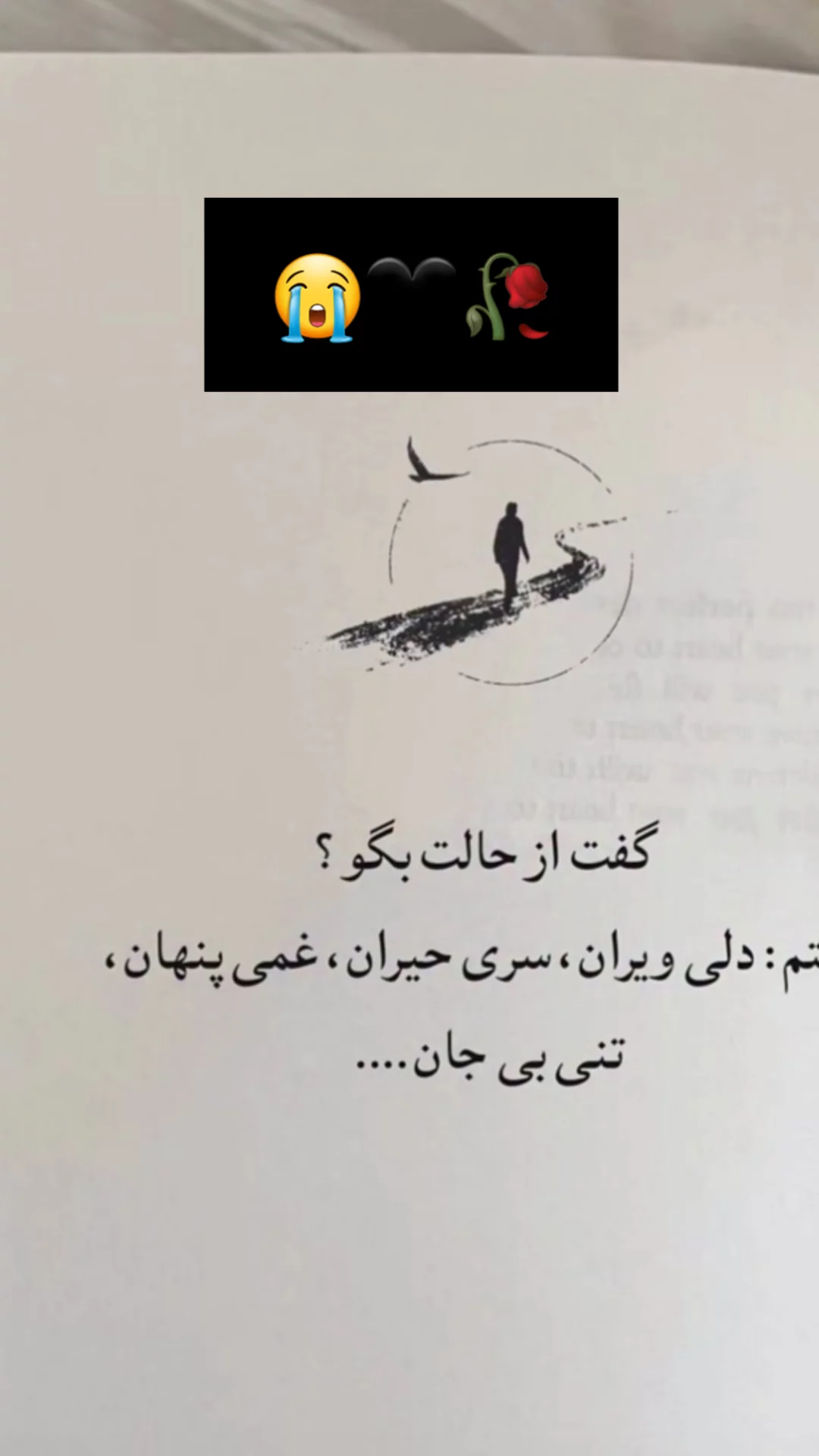  جدید ترین استوری اینستاگرام مریم امیرجلالی