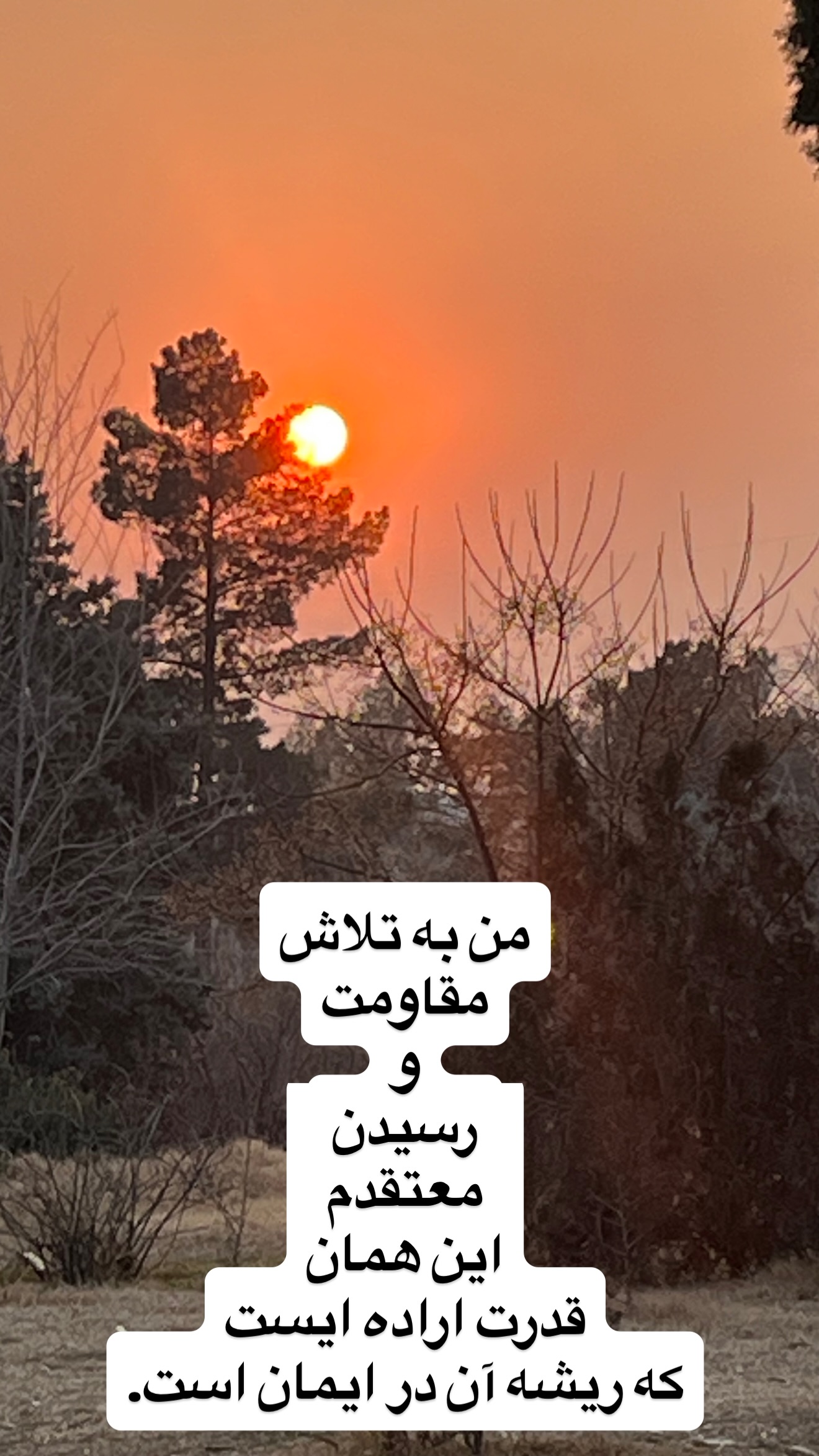  جدید ترین استوری اینستاگرام مریم کاویانی