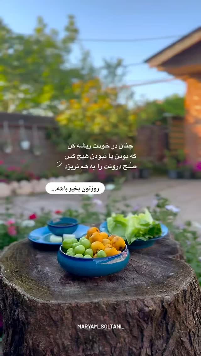  جدید ترین استوری اینستاگرام مریم صولتی