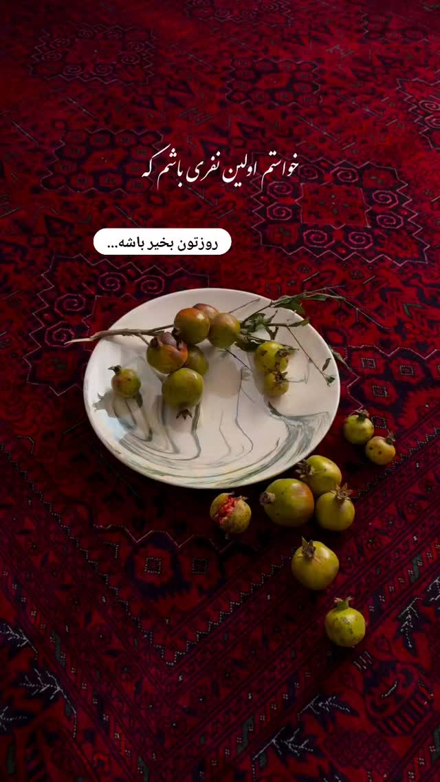  جدید ترین استوری اینستاگرام مریم صولتی