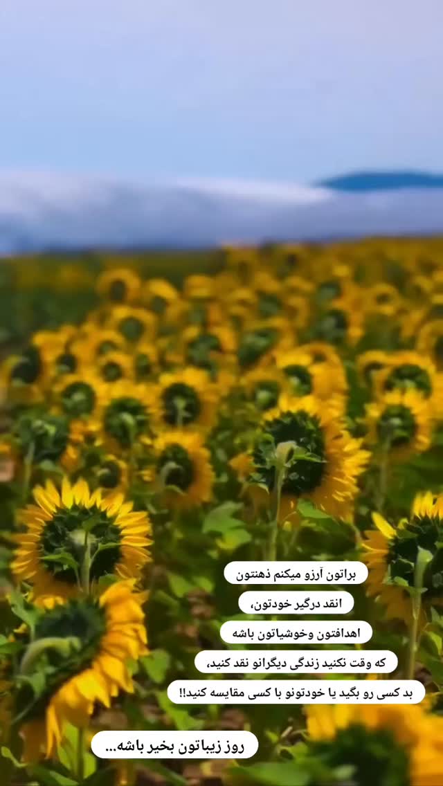  جدید ترین استوری اینستاگرام مریم صولتی