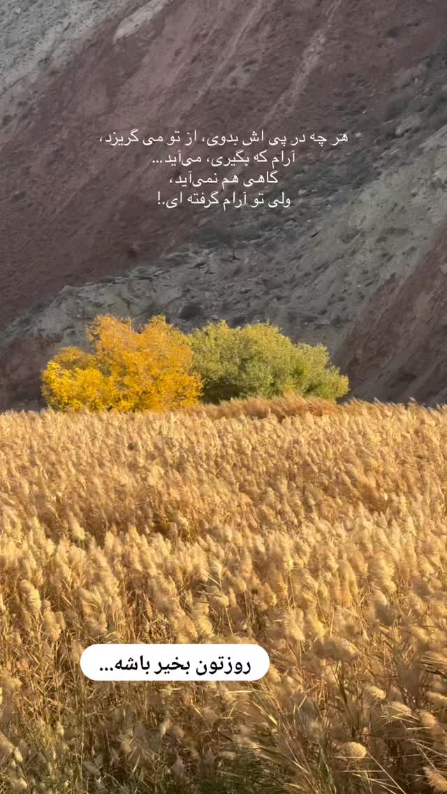  جدید ترین استوری اینستاگرام مریم صولتی