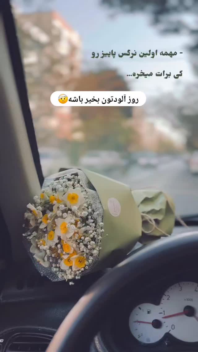  جدید ترین استوری اینستاگرام مریم صولتی