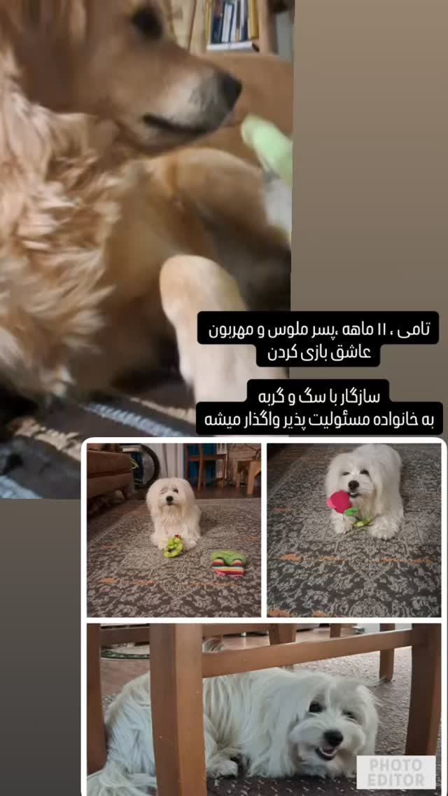  جدید ترین استوری اینستاگرام مریم مشهور