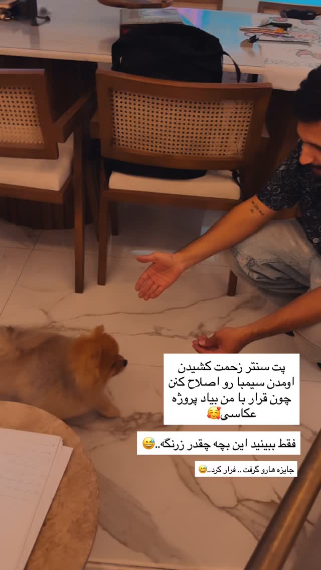  جدید ترین استوری اینستاگرام مریم معصومی