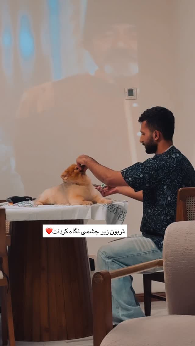  جدید ترین استوری اینستاگرام مریم معصومی
