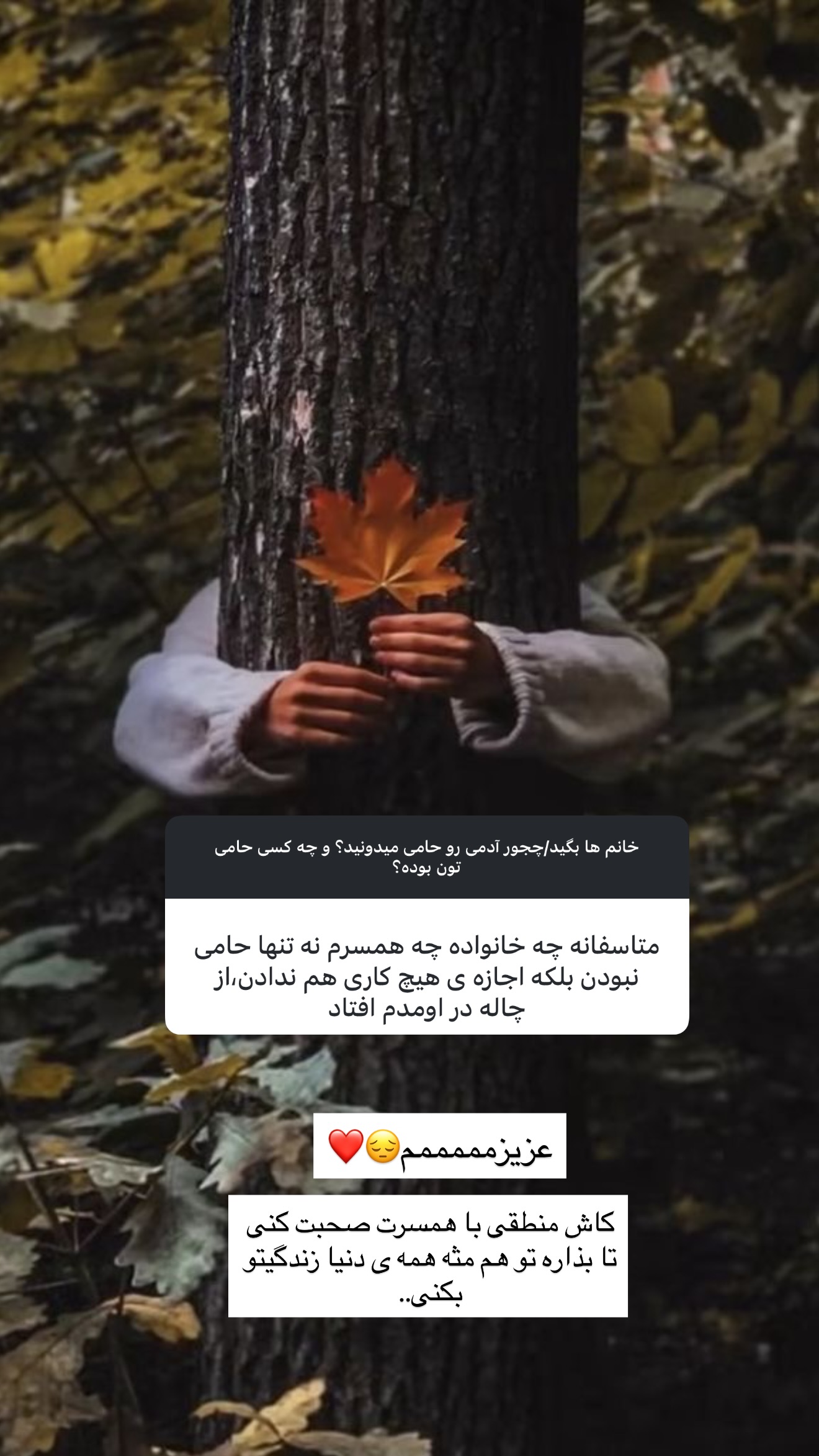  جدید ترین استوری اینستاگرام مریم معصومی