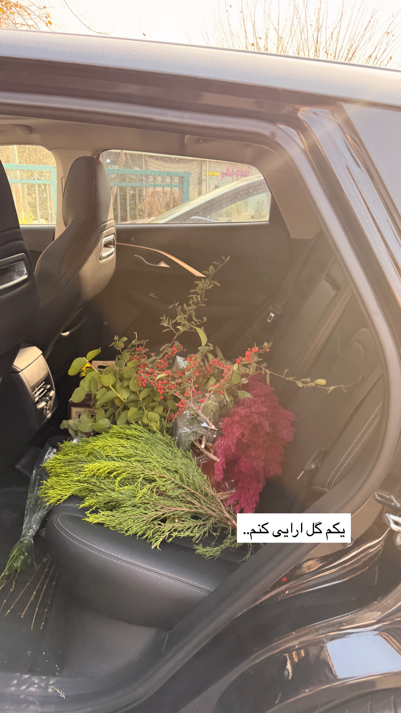 جدید ترین استوری اینستاگرام مریم معصومی
