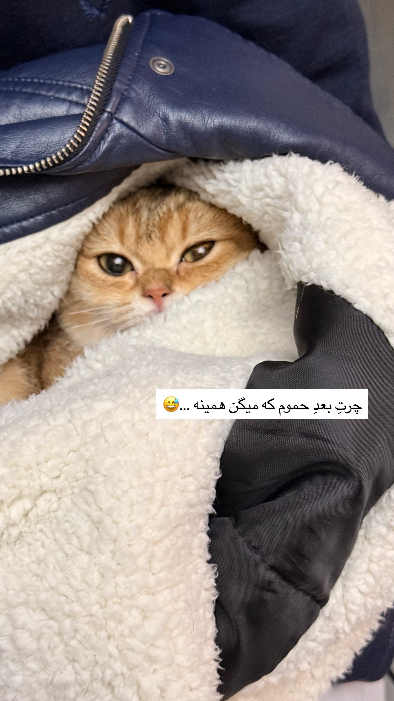  جدید ترین استوری اینستاگرام مریم معصومی
