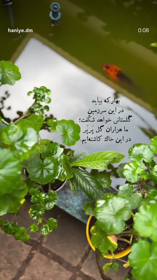  جدید ترین استوری اینستاگرام مریم رهنما