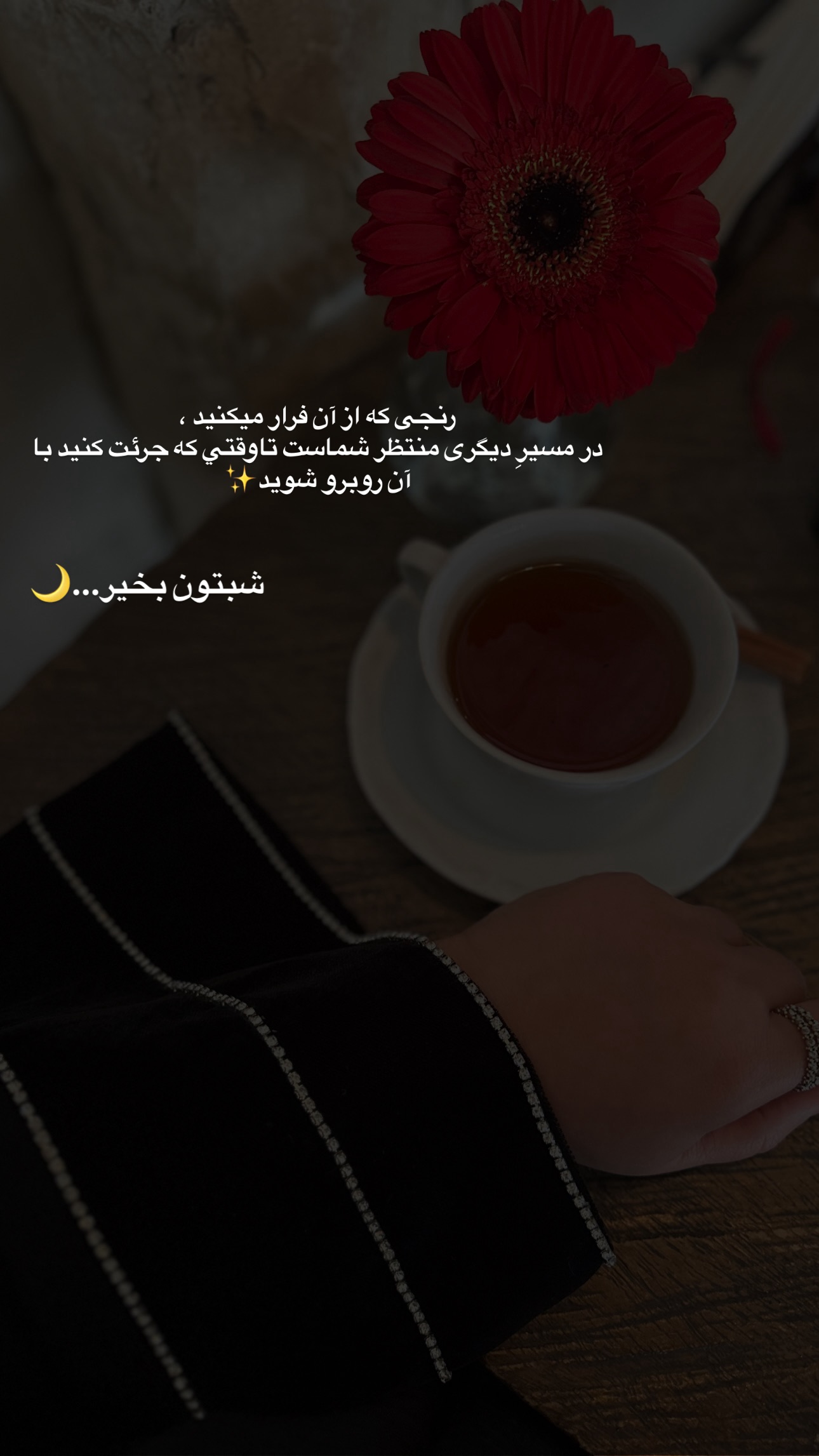  جدید ترین استوری اینستاگرام مریم صدر عبایا