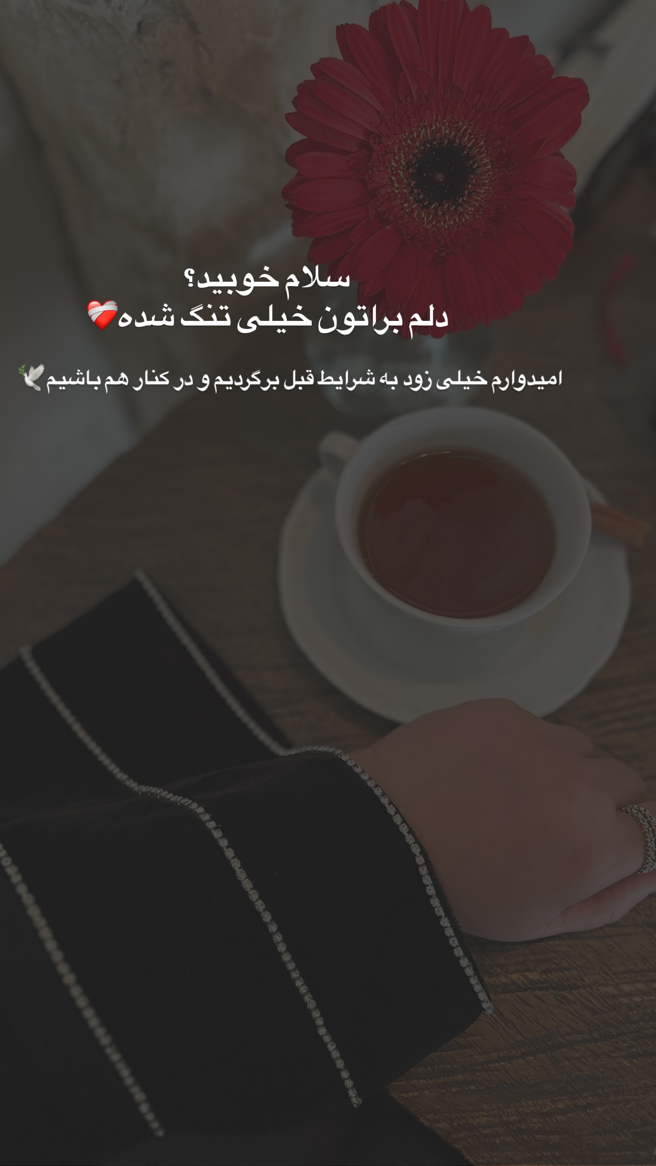  جدید ترین استوری اینستاگرام مریم صدر عبایا