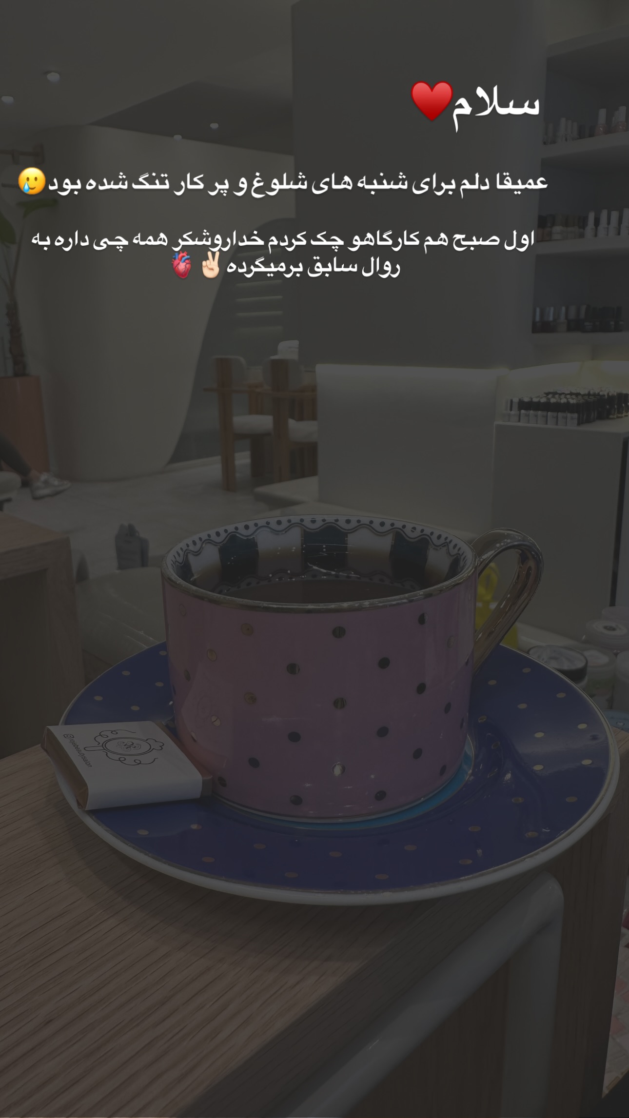  جدید ترین استوری اینستاگرام مریم صدر عبایا