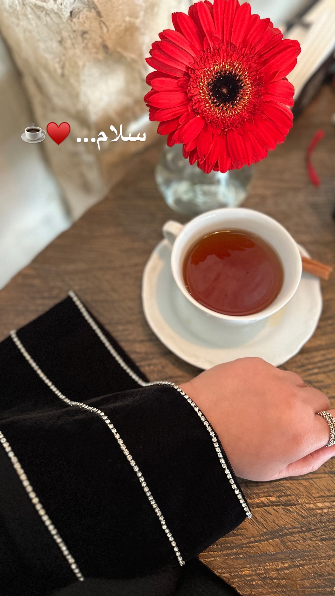  جدید ترین استوری اینستاگرام مریم صدر عبایا