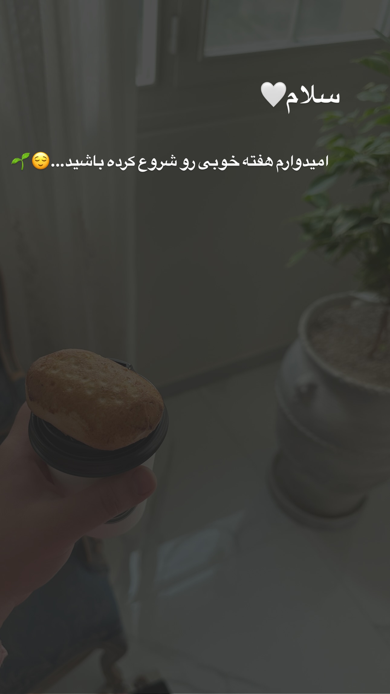  جدید ترین استوری اینستاگرام مریم صدر عبایا